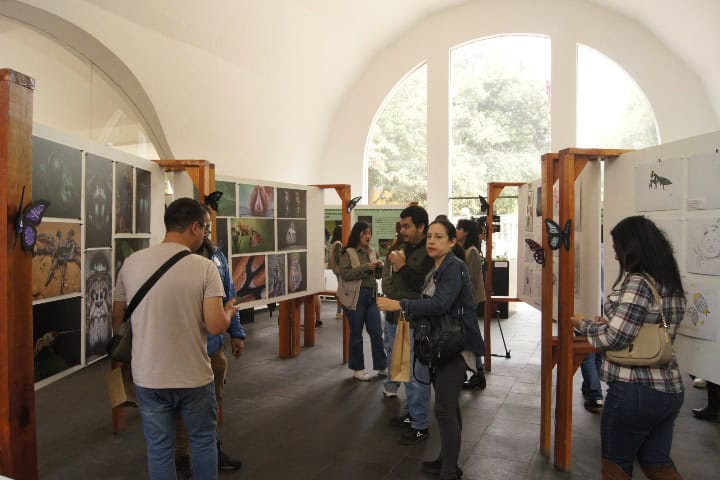 6. Exposición 20 Aniversario del Mariposario. Foto - Gus Espinosa