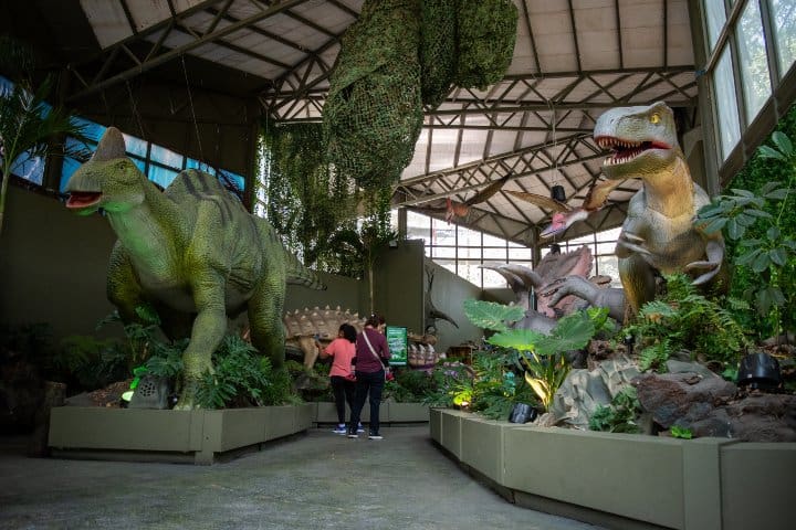 7. Dinosaurium. Foto - Archivo Zoo Aventuras