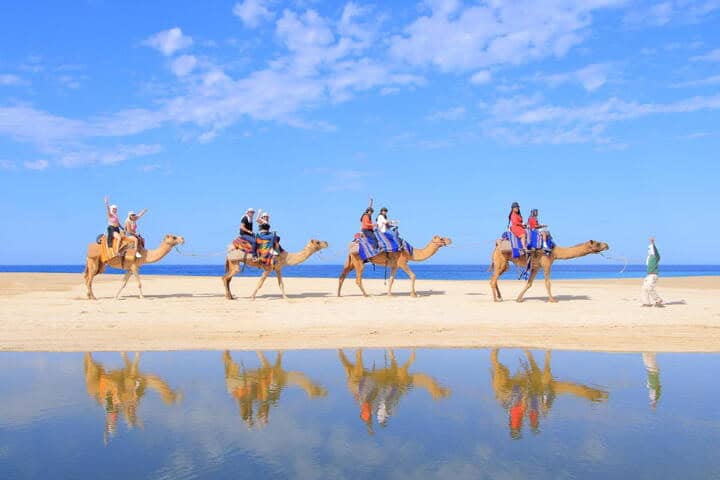 9. Cactus Tours. Foto – visitaloscabos.travel