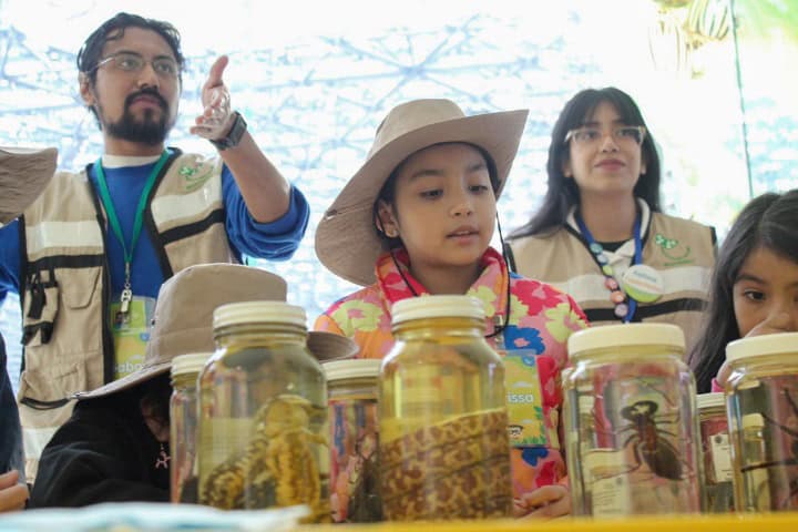 9. Visitantes en Papalote Museo del Niño. Foto - Papalote Museo del Niño Monterrey (Facebook)