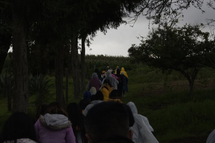 9. Recorrido hacia las luciérnagas. Foto - Rehiletes (Santuario de Luciérnagas por un día)