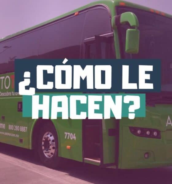 CÓMO ES EL CUIDADO D AUTOBUSES EN AUTOTUR