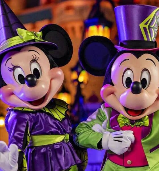 DISNEYLAND RESORT OTOÑO