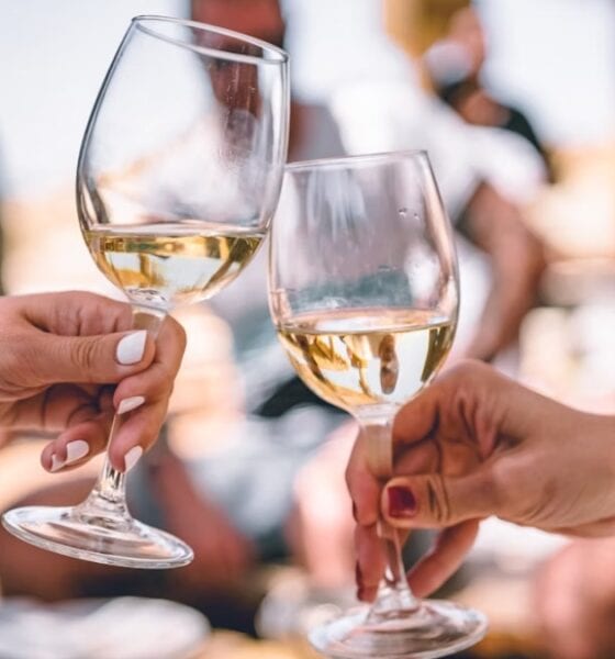FIESTAS DE LA VENDIMIA 2025 EN BAJA CALIFORNIA