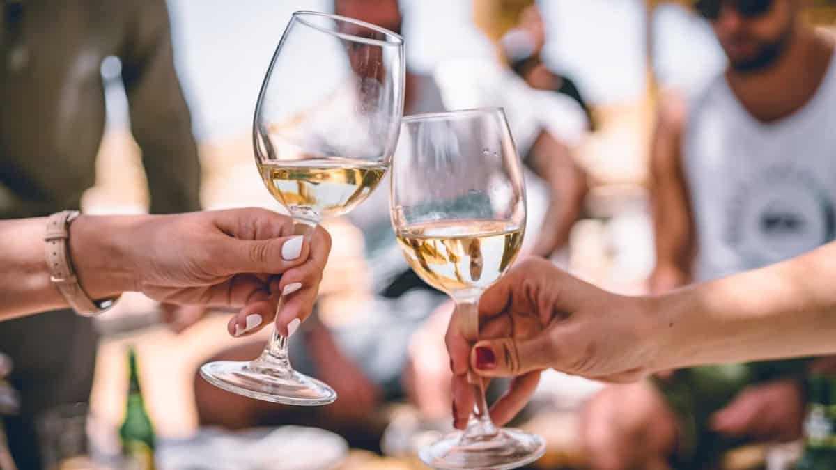 FIESTAS DE LA VENDIMIA 2025 EN BAJA CALIFORNIA