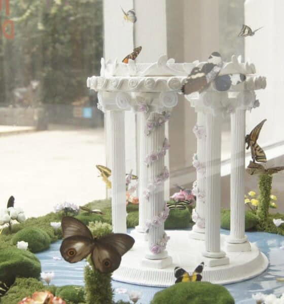 MARIPOSARIO CUMPLE 20 AÑOS