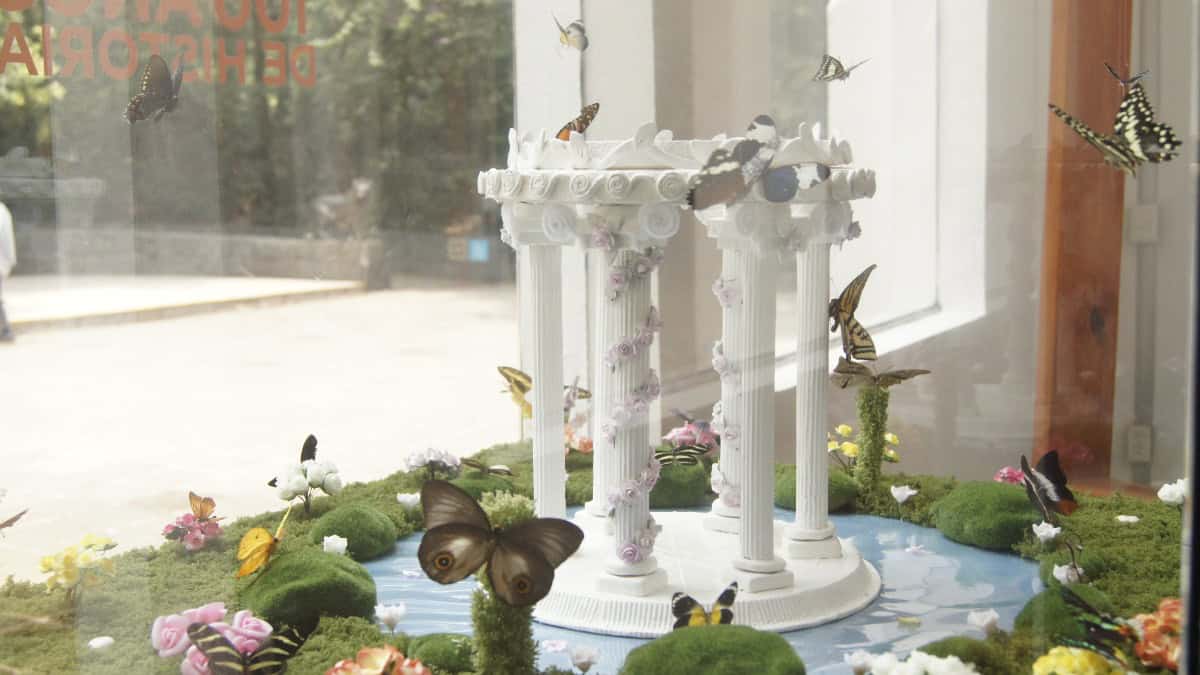 MARIPOSARIO CUMPLE 20 AÑOS