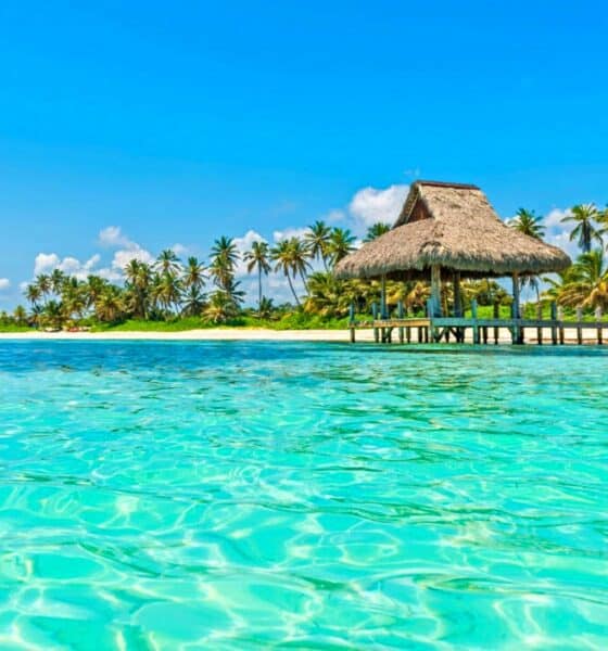 PORTADA PUNTA CANA