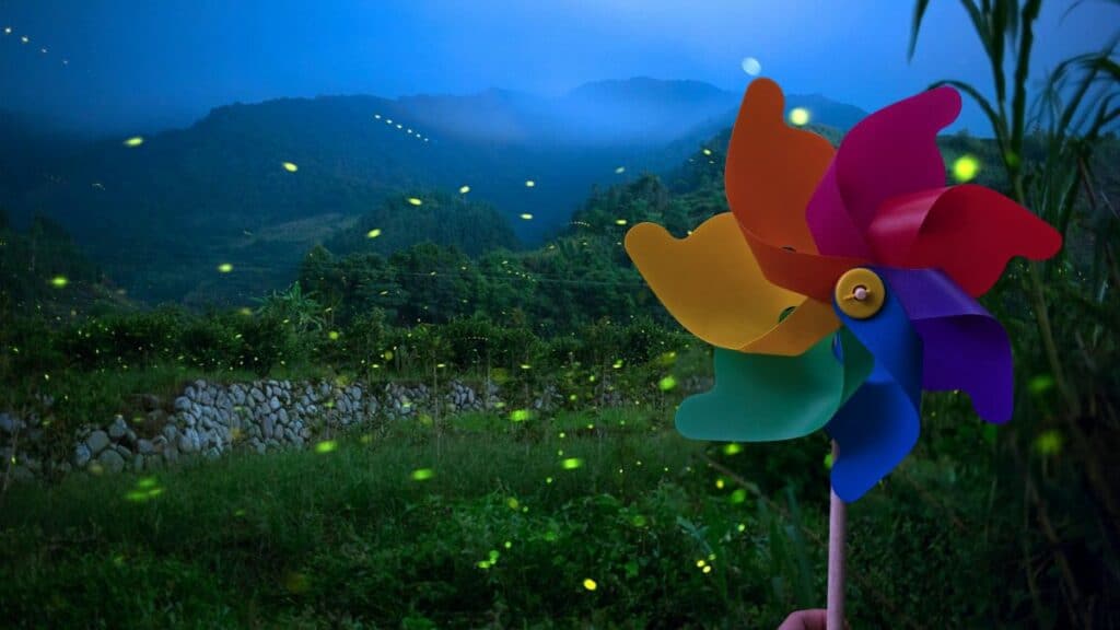 SANTURIO DE LUCIERNAGAS DE UN DÍA CON REHILETES