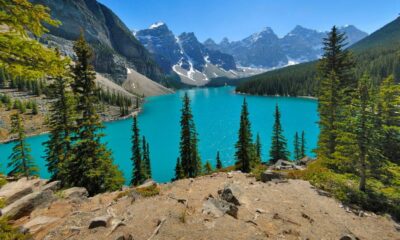 WESTJET ABRE NUEVO VUELO DIRECTO DE LA CDMX A ALBERTA, CANADÁ