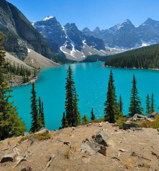 WESTJET ABRE NUEVO VUELO DIRECTO DE LA CDMX A ALBERTA, CANADÁ