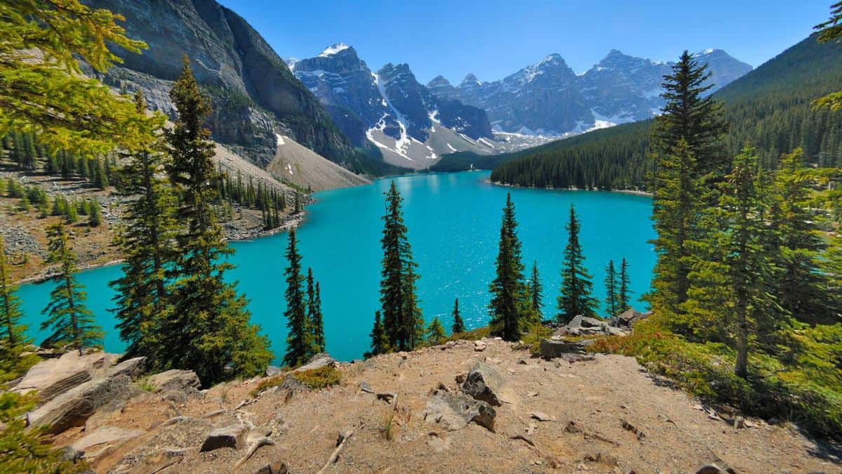 WESTJET ABRE NUEVO VUELO DIRECTO DE LA CDMX A ALBERTA, CANADÁ