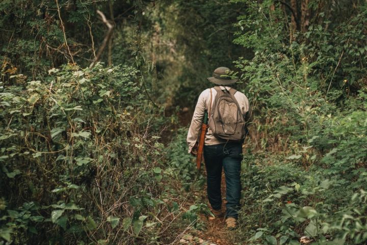 1. Viajeros caminando en la selva yucateca. Foto - Destino Mío (Facebook)