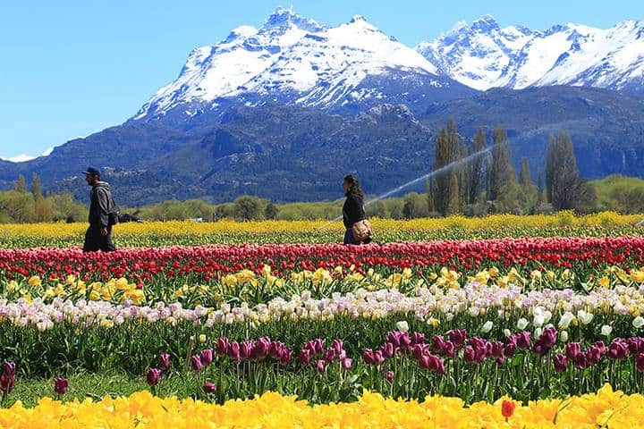 1. Primavera en la Patagonia. Foto – Flymaniacs (Patagonia argentina)