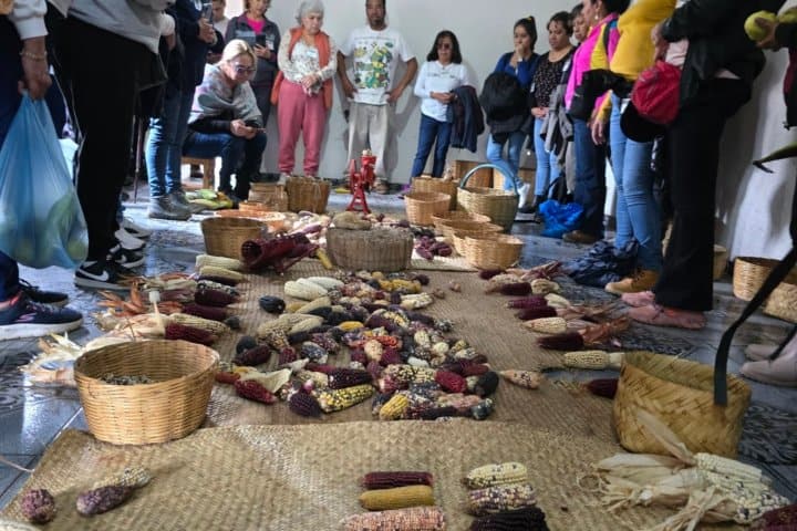 10. Platica de elotes de colores. Foto - Rehiletes