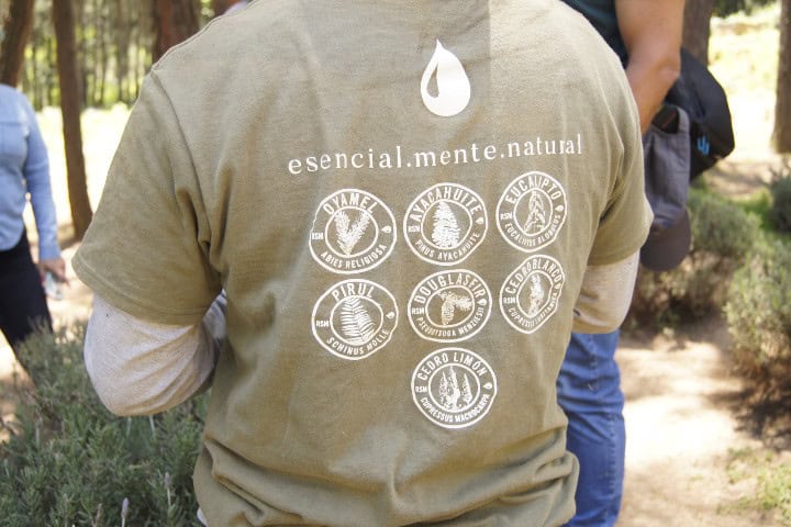 15. Playera de guía en Rancho San Martín Lavanda. Foto - Gus Espinosa