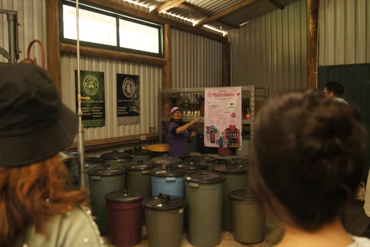 17. Plática de destilación en el Rancho San Martín Lavanda. Foto - Gus Espinosa