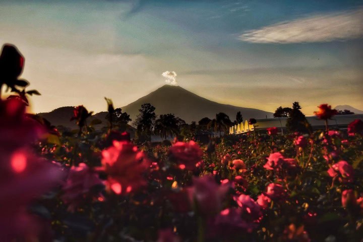 2. Campo de Atlixco. Foto -Instituto D'Amicis, S. C.