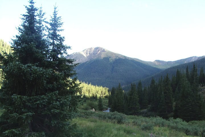 2. Bosque Nacional de San Isabel. Foto - Wikimedia Commons
