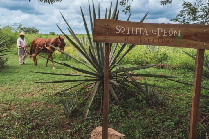 3. Haciendo Sotuta de Peón. Foto - Hacienda Sotuta de Peon (Facebook)