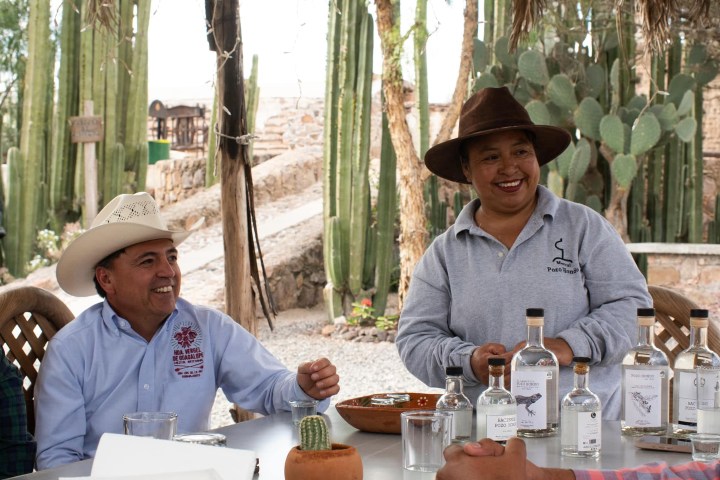 4. Experiencias Mezcaleras en San Luis de La Paz. Foto - Turismo San Luis de la Paz (Facebook)