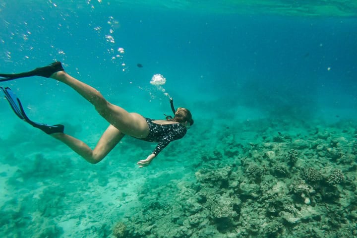 5. Snorkel. Foto - Santuario Yelapa (Facebook)