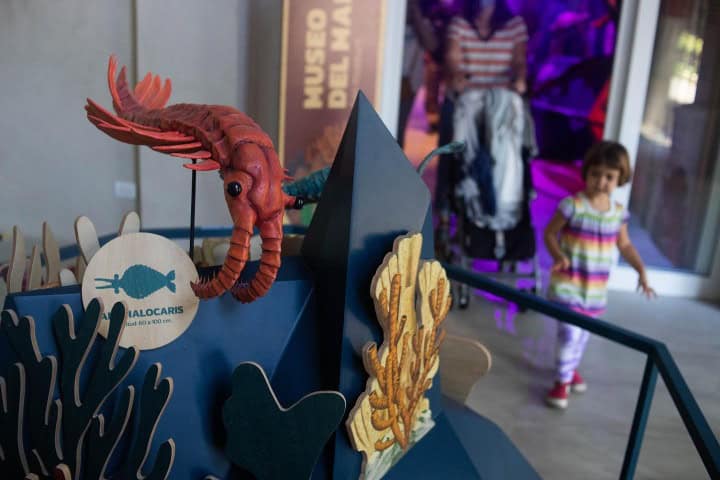 5. Exhibición de animales marinos en GEA Marina. Foto - Mundo GEA (Facebook)