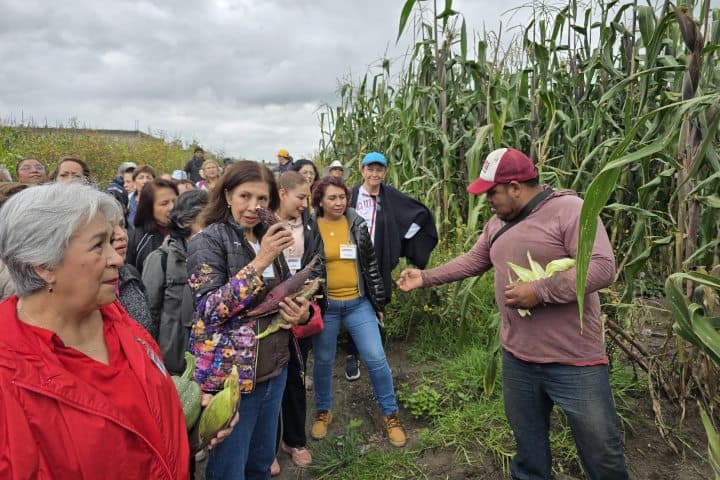 5. Plática en la Milpa. Foto - Rehiletes