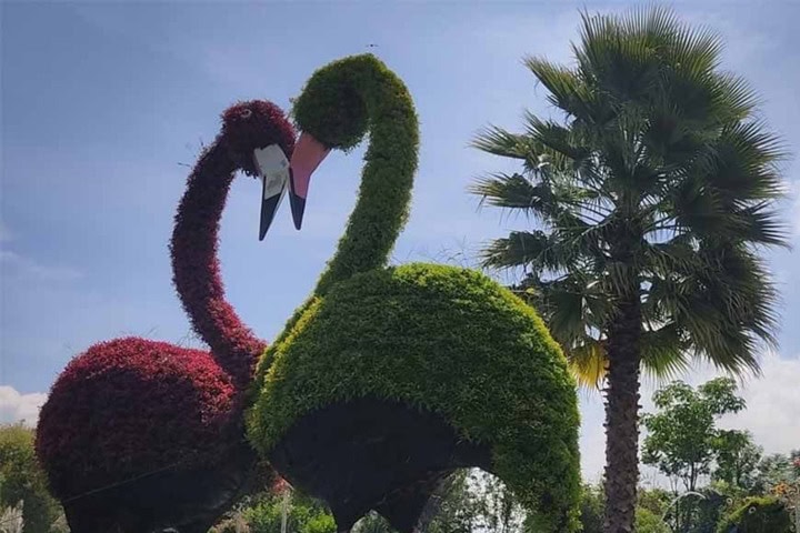 6. Jardín Mágico de Atlixco. Foto - Poblanerías.com