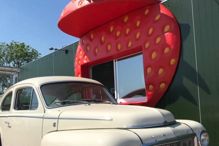 7. Automovil en Aardbeien Drive-in J&B, autoservicio de fresas. Foto - @strawberryvanjb (Instagram)
