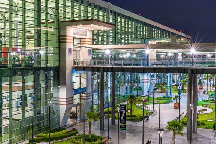 7. Jardín central del AIFA. Foto - @aifa_aeropuerto (Instagram)