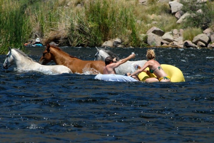 8. Visitantes en Arizona's Salt River Tubing nadando con caballos salvajes. Foto - Willie Stark (Flickr)