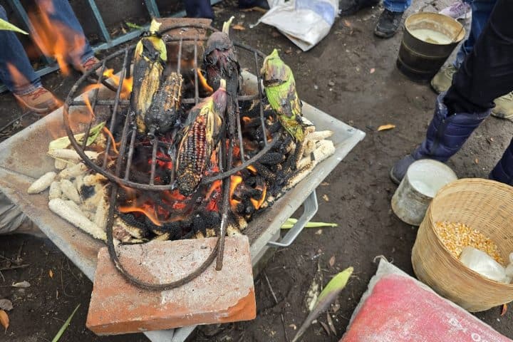 9. Asado de elotes para la elotiza. Foto - Rehiletes