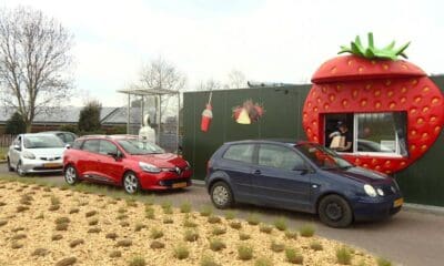 AARDBEIEN DRIVE-IN J&B, EL AUTOSERVICIO DE FRESAS EN PAÍSES BAJOS