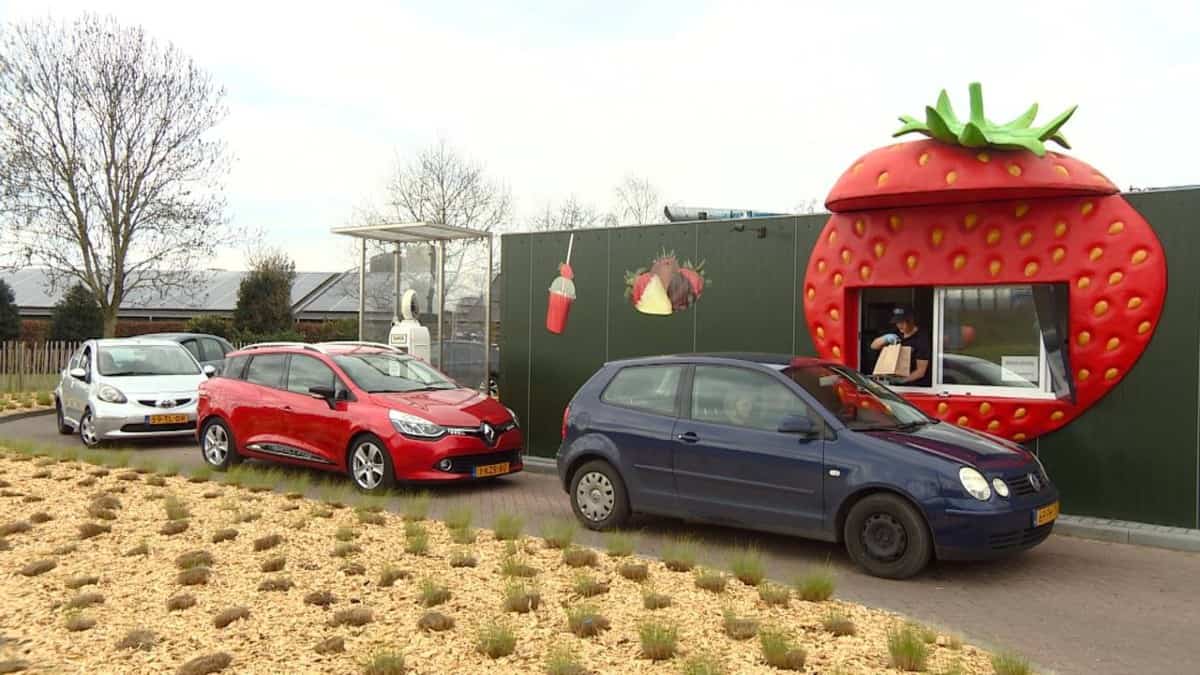 AARDBEIEN DRIVE-IN J&B, EL AUTOSERVICIO DE FRESAS EN PAÍSES BAJOS