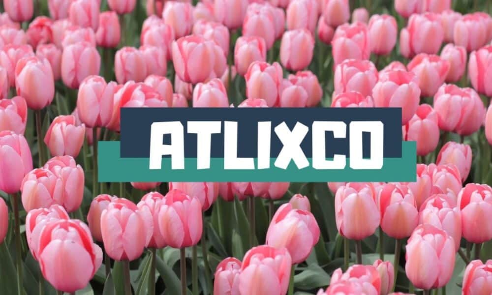 ATLIXCO DE LAS FLORES