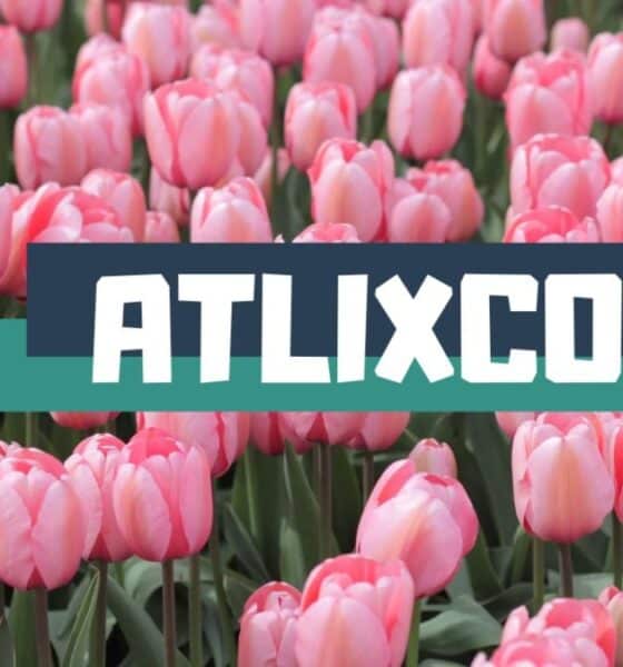ATLIXCO DE LAS FLORES