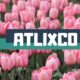 ATLIXCO DE LAS FLORES