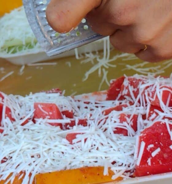 CONOCE EL QUESO DE PLÁSTICO EN LEÓN, GUANAJUATO
