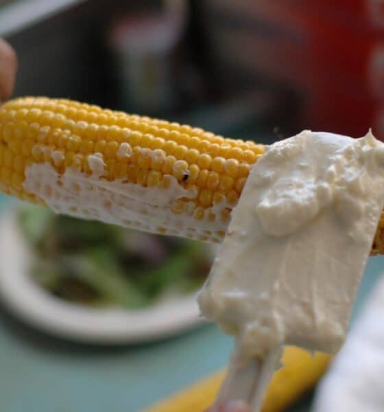 FERIA DEL ELOTE 2025 EN SAN JUAN IXTAYOPAN