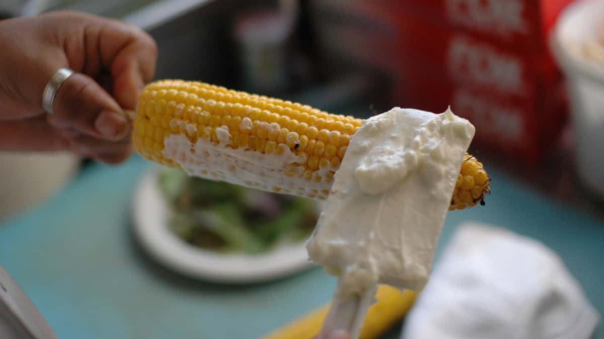FERIA DEL ELOTE 2025 EN SAN JUAN IXTAYOPAN