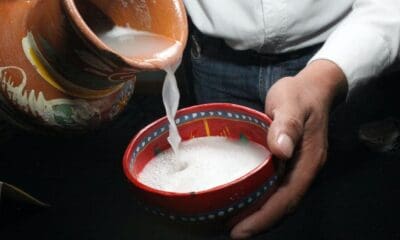 FESTIVAL DEL PULQUE Y EL MEZCAL EN LA CDMX