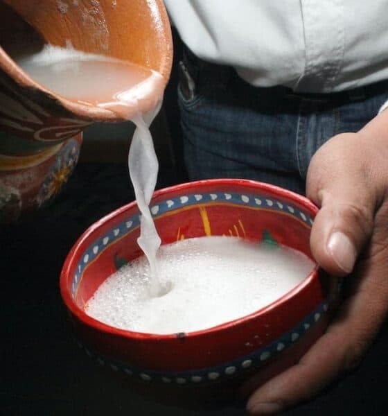 FESTIVAL DEL PULQUE Y EL MEZCAL EN LA CDMX