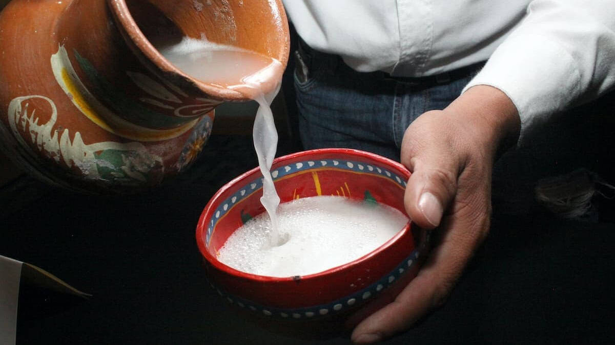FESTIVAL DEL PULQUE Y EL MEZCAL EN LA CDMX