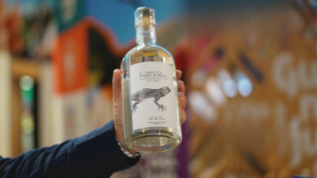 FIESTAS DEL MEZCAL EN GUANAJUATO