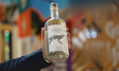 FIESTAS DEL MEZCAL EN GUANAJUATO