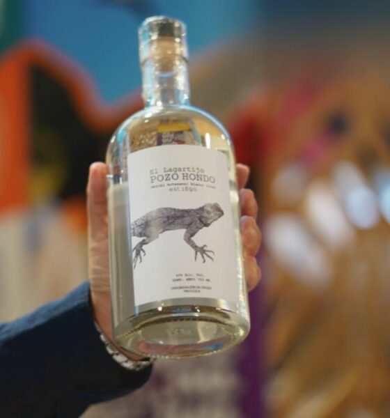 FIESTAS DEL MEZCAL EN GUANAJUATO