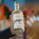 FIESTAS DEL MEZCAL EN GUANAJUATO