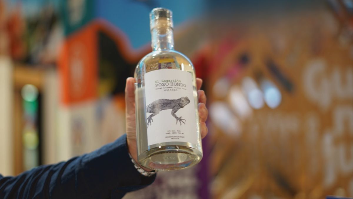 FIESTAS DEL MEZCAL EN GUANAJUATO