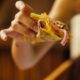 MUGY, EL MUSEO DE LA GASTRONOMÍA YUCATECA